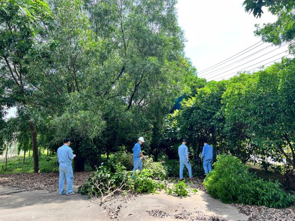 Đoàn Thanh niên Công ty TNHH MTV Thép Miền Nam – VNSTEEL ra quân dọn dẹp vệ sinh, cắt tỉa cây xanh, góp phần xây dựng môi trường làm việc xanh – sạch – đẹp – an toàn